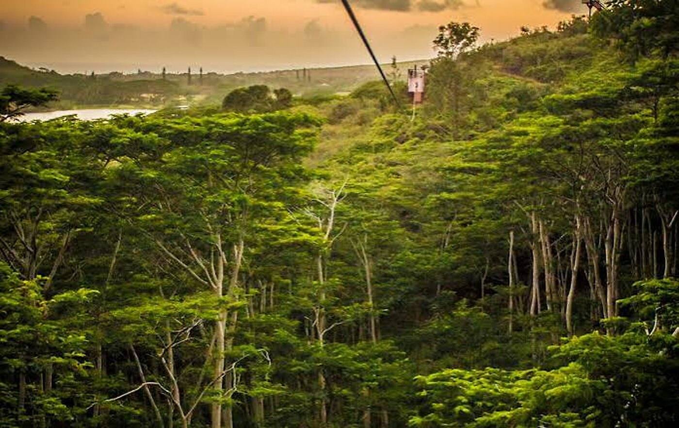 A zipline cable stretching over a lush green Kauai valley at golden hour