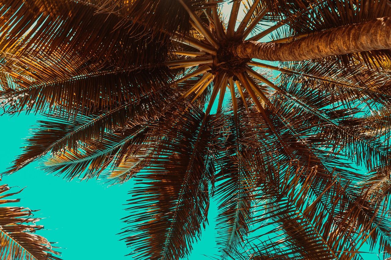 Anini Beach