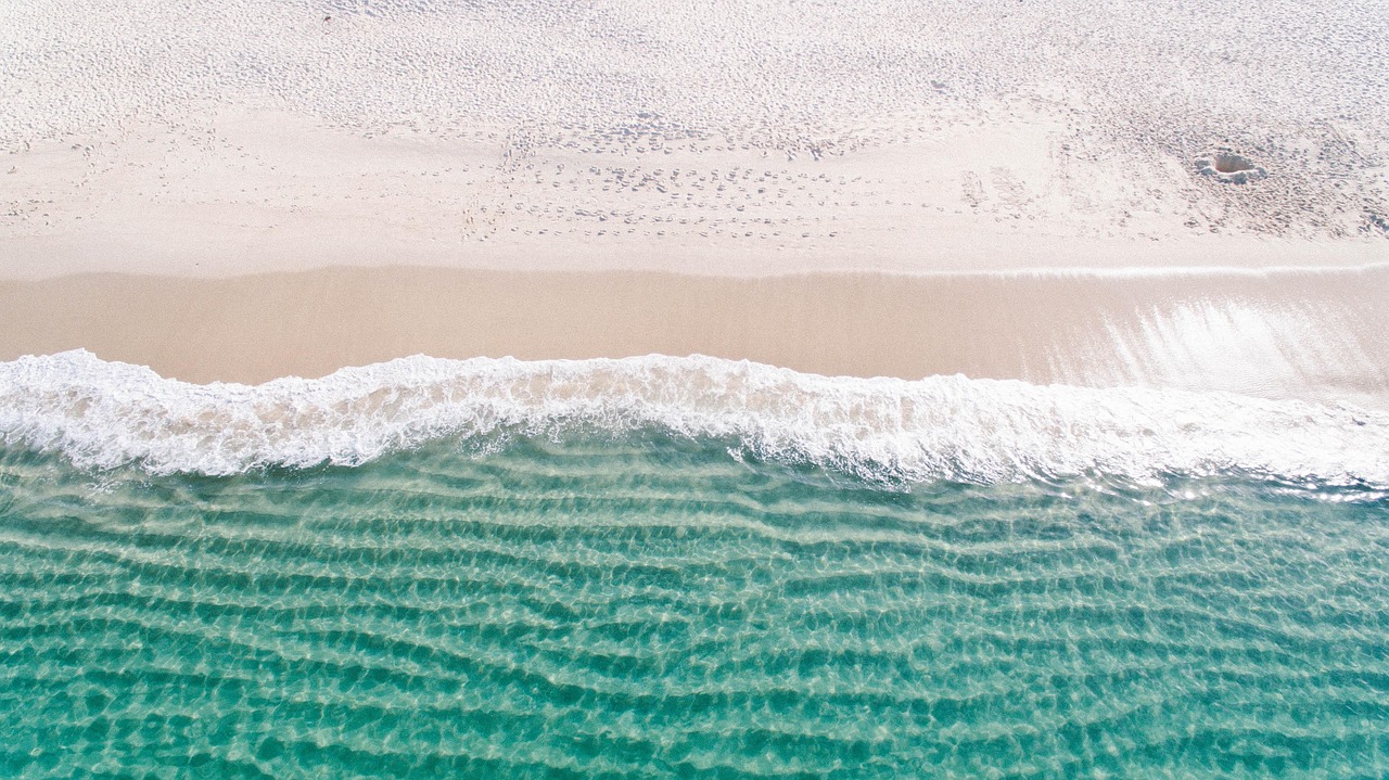 South Shore Beach Day