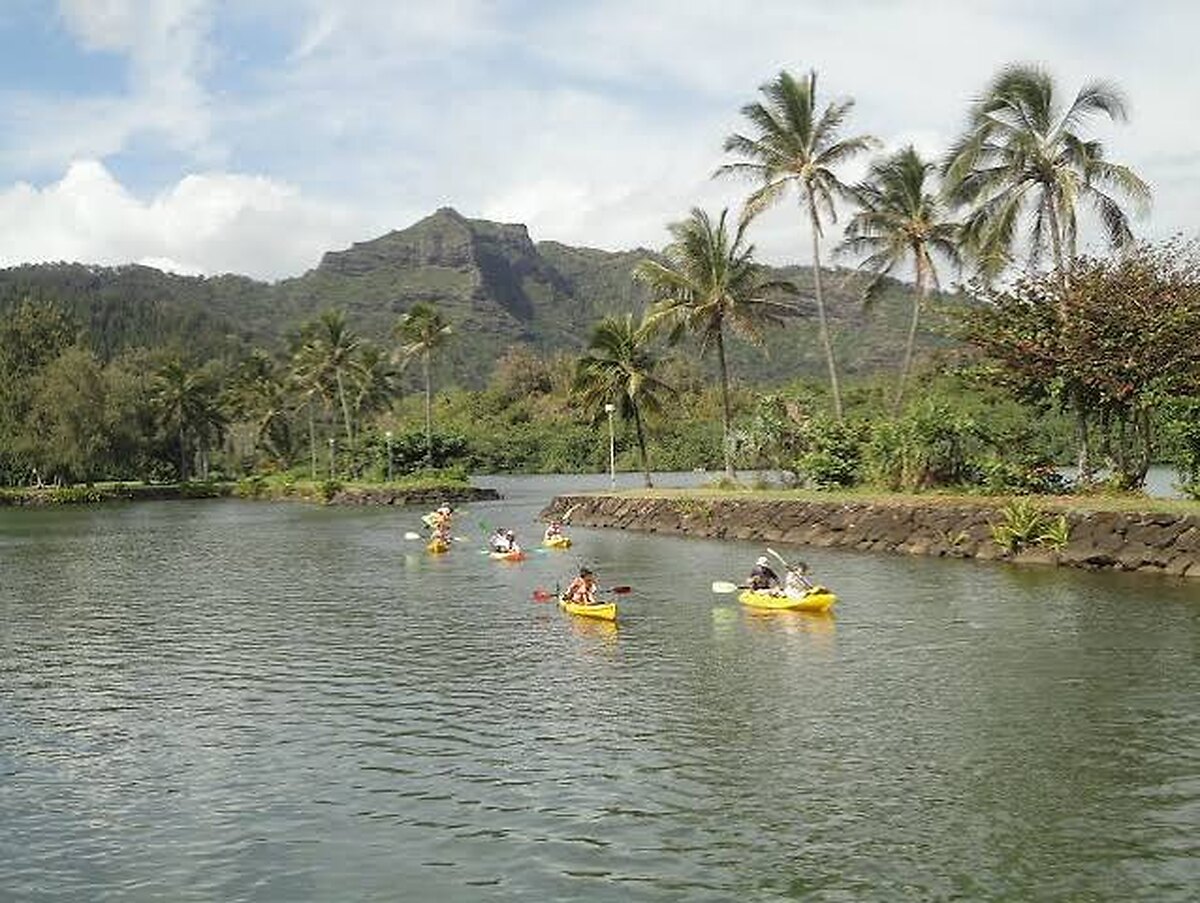 Wailua River & Kayak